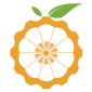 Orange Pi